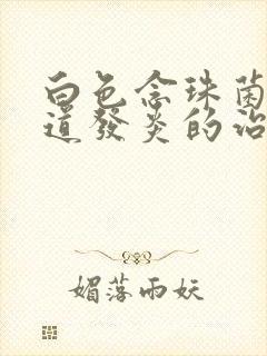 白色念珠菌性阴道发炎的治疗