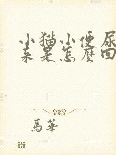 小猫小便尿不出来是怎么回事封面