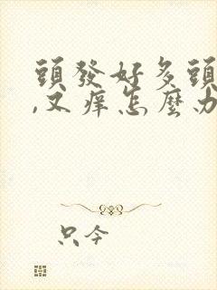 头发好多头皮屑,又痒怎么办