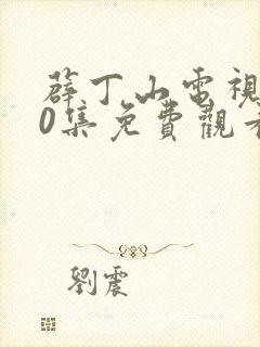 薜丁山电视剧40集免费观看