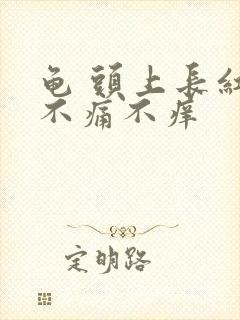 龟 头上长红点不痛不痒