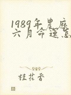1989年农历六月命运怎么样女