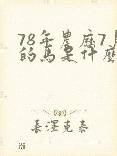 78年农历7月的马是什么命