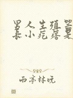 男人生殖器周围长小疙瘩是怎么回事封面