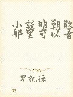 小说明朝败家子那里可以看