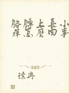 胳膊上长小疙瘩痒怎么回事