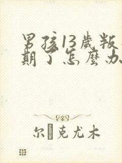 男孩13岁叛逆期了怎么办