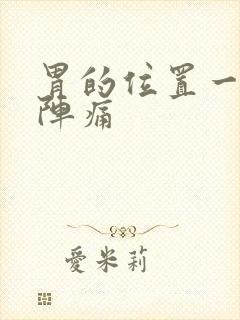 胃的位置一阵一阵痛封面