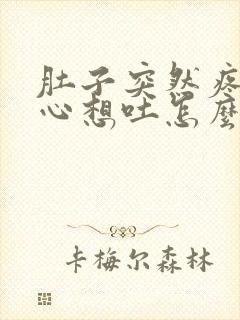 肚子突然疼还恶心想吐怎么回事儿