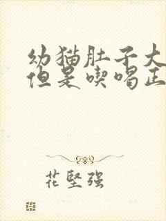 幼猫肚子大鼓鼓但是吃喝正常