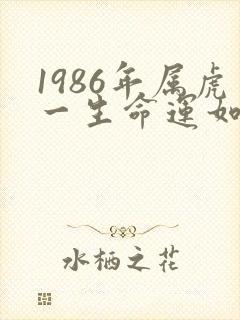 1986年属虎一生命运如何