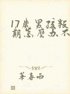 17岁男孩叛逆期怎么办不上学了