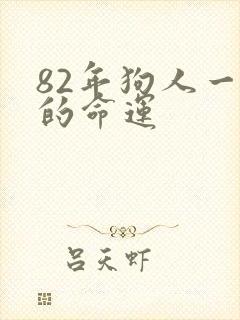 82年狗人一生的命运
