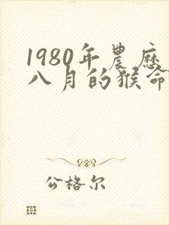 1980年农历八月的猴命运