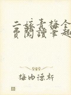 二嫁青梅全文免费阅读笔趣阁