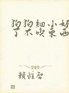 狗狗细小好几天了不吃东西怎么办