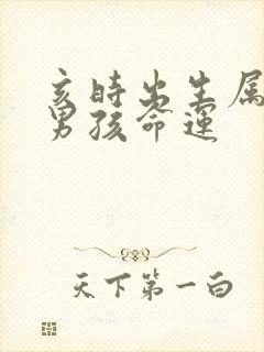 亥时出生属虎的男孩命运