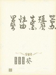 男性生殖器向左弯曲怎么办封面