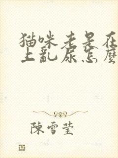 猫咪老是在被子上乱尿怎么办