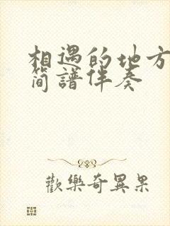 相遇的地方动态简谱伴奏