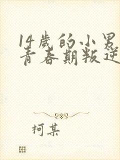 14岁的小男孩青春期叛逆怎么办封面