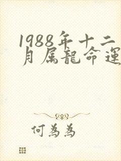 1988年十二月属龙命运如何