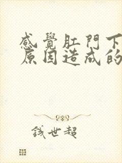 感觉肛门下坠的原因造成的