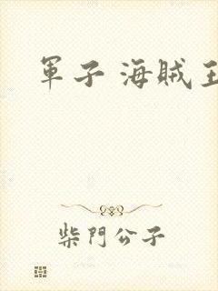 军子 海贼王
