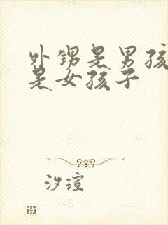 外甥是男孩子还是女孩子封面