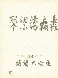 冠状沟上长了一个小肉颗粒