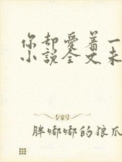 你却爱着一个他小说全文未删减免费