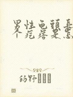 男性龟头长了一个疙瘩是怎么回事