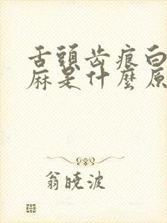 舌头齿痕白苔发麻是什么原因