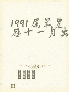 1991属羊农历十一月出生命运