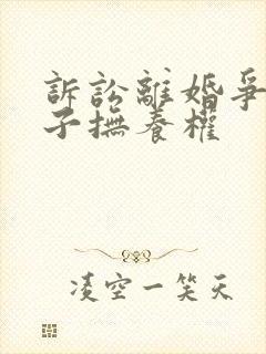 诉讼离婚争夺孩子抚养权