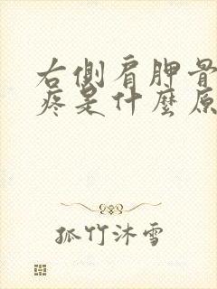 右侧肩胛骨后背疼是什么原因引起的