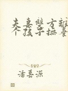 夫妻双方离婚两个孩子抚养权怎么判定封面