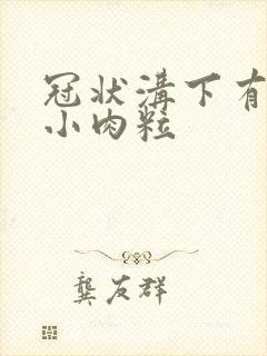 冠状沟下有一排小肉粒封面