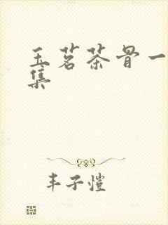 玉茗茶骨一共几集封面