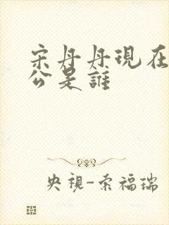 宋丹丹现在的老公是谁