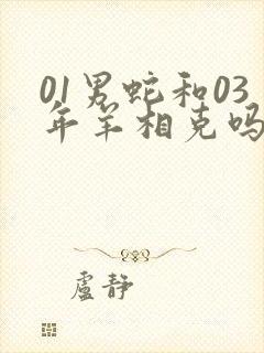 01男蛇和03年羊相克吗