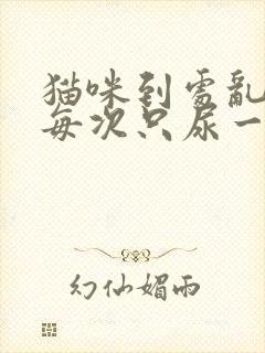 猫咪到处乱尿,每次只尿一点怎么回事