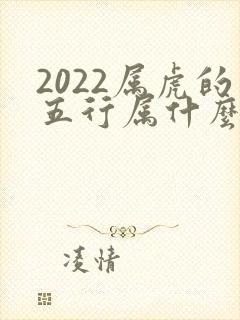 2022属虎的五行属什么命