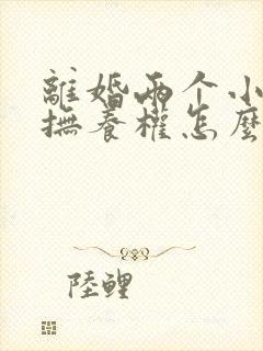 离婚两个小孩子抚养权怎么判定