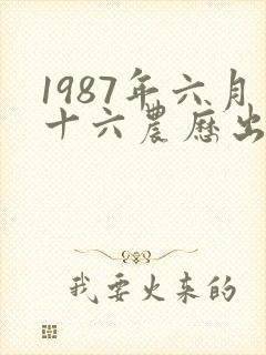 1987年六月十六农历出生的命运如何