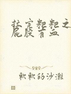 拉完粑粑之后擦屁股有血