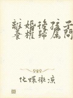 离婚后孩子的抚养权归属问题