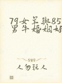 79女羊与85男牛婚姻好不好