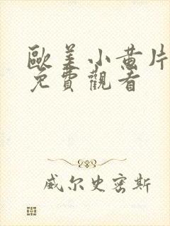 欧美小黄片在线免费观看