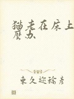 猫老在床上尿怎么办